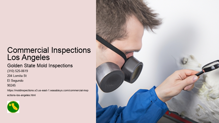 Commercial Inspections Los Angeles
