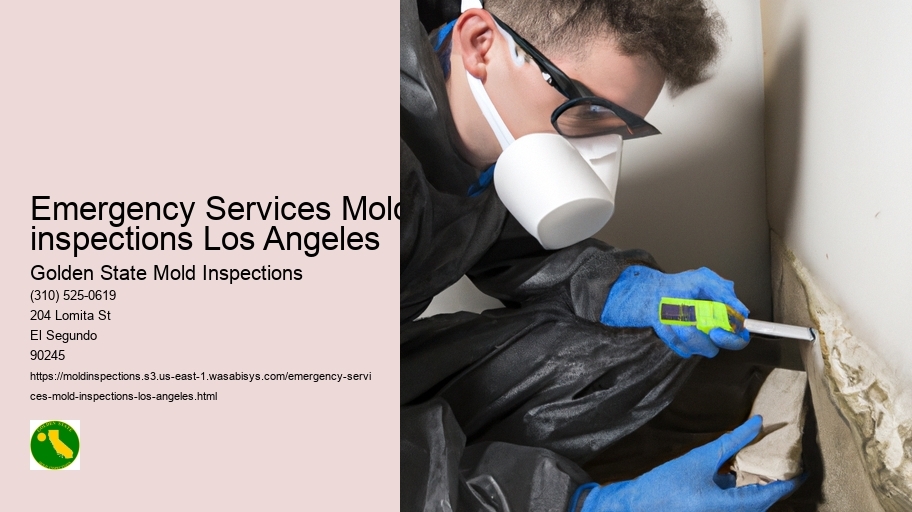 Emergency Services Mold inspections Los Angeles