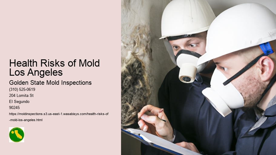 Health Risks of Mold Los Angeles