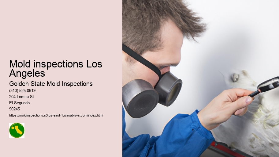 Mold inspections Los Angeles
