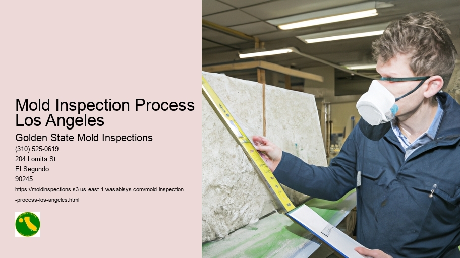 Mold Inspection Process Los Angeles