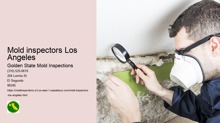 Mold inspectors Los Angeles