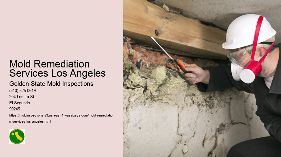 Mold Remediation Services Los Angeles