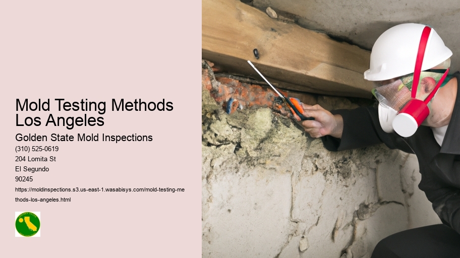 Mold Testing Methods Los Angeles